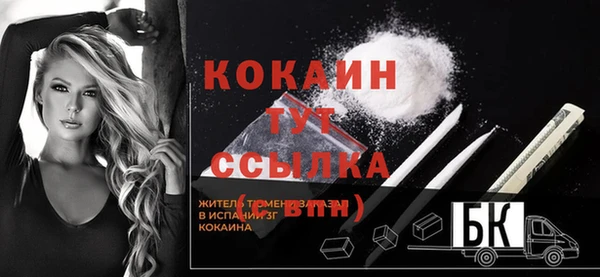 дживик Абаза