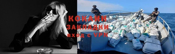 дживик Абаза