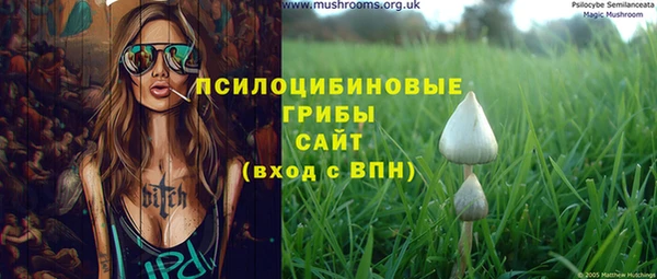 сатива Карпинск