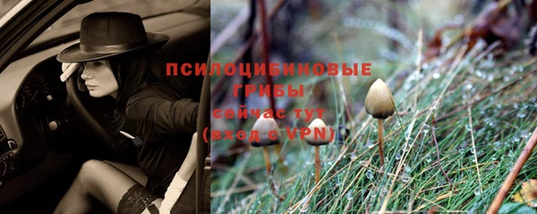 дживик Абаза