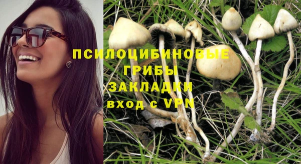 дживик Абаза