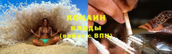 дживик Абаза