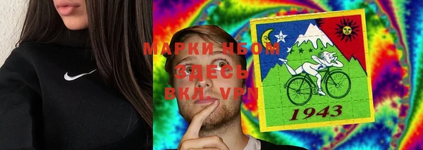 амф Касимов