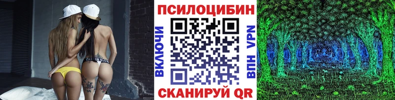 наркотики  Задонск  Галлюциногенные грибы Magic Shrooms 
